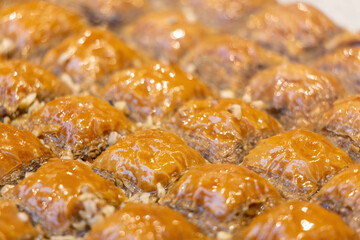 Traditional Dessert Turkish Baklava. Walnut, Pistachio Turkish Style Antep Baklava Presentation. Baklava from Turkish cuisine. Close up, selected focus, swollow deep