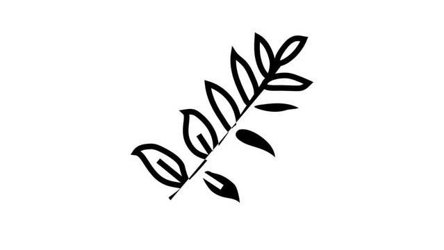 zamioculcas tropical leaf line icon animation