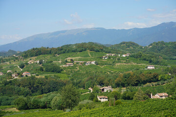 Vineyards along the Road of Prosecco e Conegliano Wines