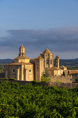 Royal Abbey of Santa Maria de Poblet, cistercian monastery, Catalonia, Spain