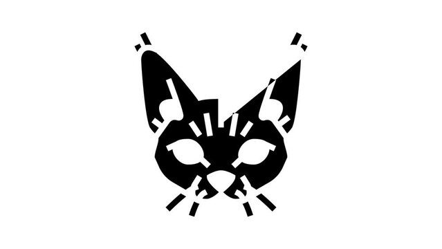 devon rex cat cute pet glyph icon animation