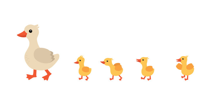 Mother duck and ducklings. Cute ducklings walking in a row. Cartoon illustration. A mother duck is an animal and a family duckling.