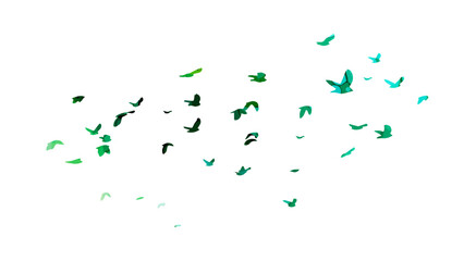 Bird watercolor. A flock of colorful birds. Mixed media. Vector illustration