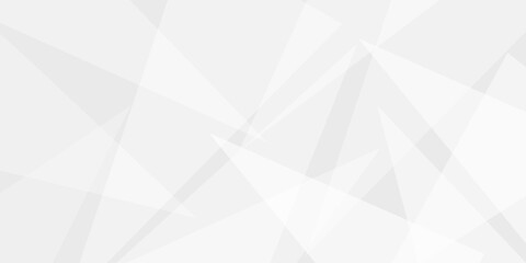 Abstract background with gray background with texture, white abstract modern background. Geometry shine and layer element vector for presentation design. Decorative web layout or poster, banner