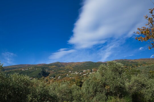 Beautiful autumn landscape with mountains. Yellow trees on the green hills of the mountain