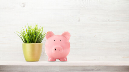 Pink Piggy on a Shelf with a small plant