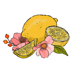 vector composition, yellow lemons, lemon slices and pink flowers on a white background