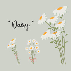 Beautiful daisy flower ornament background set