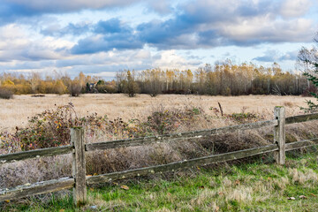 Obraz premium Kent Washington Autumn 9