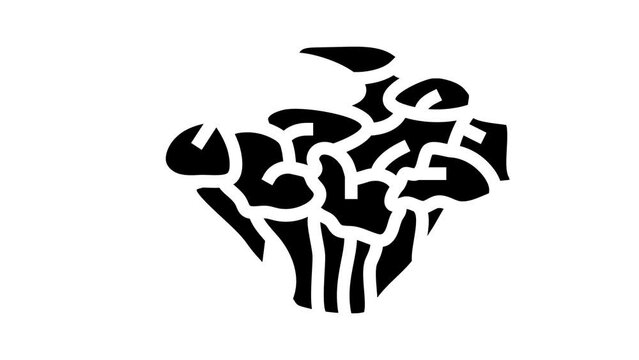 maitake mushroom glyph icon animation