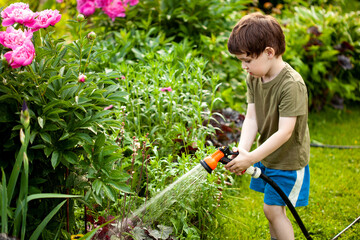 Cute adorable caucasian brown-haired toddler boy enjoy having fun watering garden flower. Child little helper learn gardening at summer outdoor