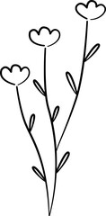 Flower line art  hand drawn illustration