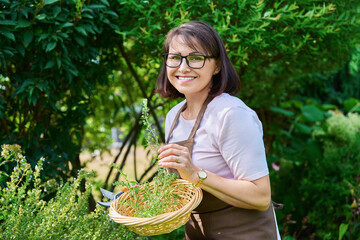 Smiling female with sprig of savory branch, harvesting spicy fragrant herbs