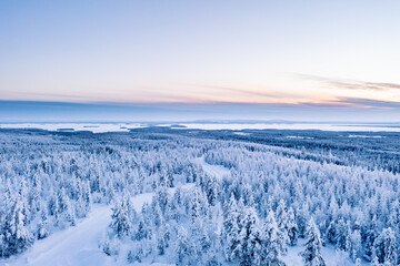 winter landscape with snow - obrazy, fototapety, plakaty