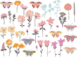 Wild flowers and butterflies set. Vector design - 550307174