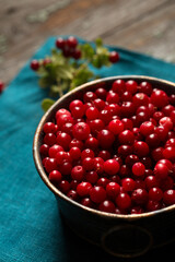 lingonberry berry in a bowl