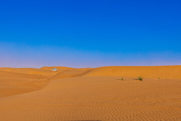 Safari in the Wahiba Sands