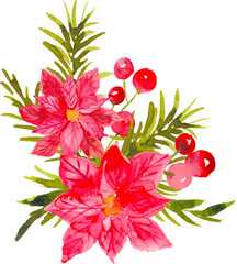 Watercolor christmas poinsettia 