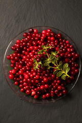 fresh lingonberry berries on a black stone board