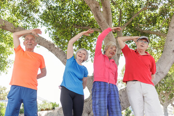 gruppo di anziani felici vestiti con abiti sportivi , fa esercito fisico in un parco cittadino