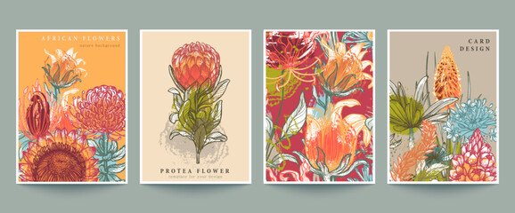 Set of four vector pre-made cards or posters with traditional African flowers, plants and abstract texture © natality