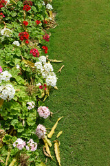 Nature background of flowers leaves and green grass lawn in a vertical composition