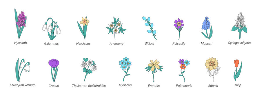 Vector collection of spring flowers with names in doodle style. Collection of Herbs and Wild Flowers of signed titles. Garden or Forest Blossoms. Cartoon Vector Illustration