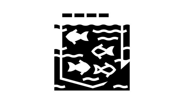 sea cages salmon glyph icon animation