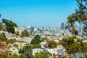 Obraz premium Hidden lookout point in the historic districts of san francisco california with foreground trees and skyscrapers and buildings