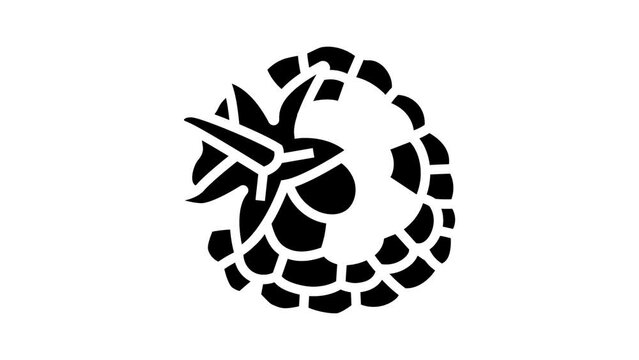 raspberry leaf berry glyph icon animation