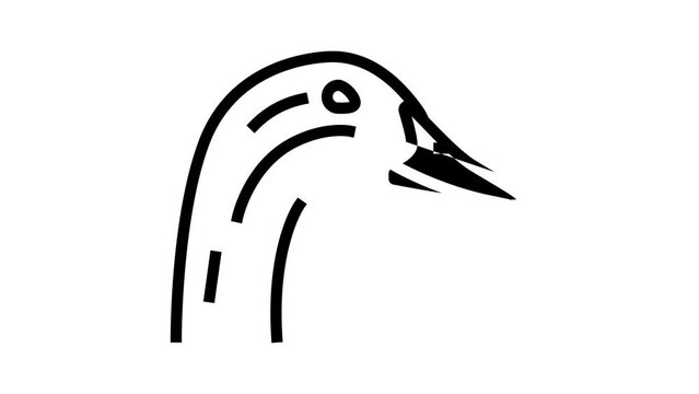 goose animal zoo line icon animation