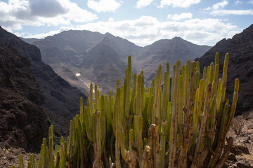 scenic mountain landscapes - Gran Canaria