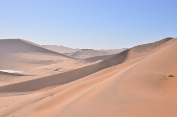 Fototapeta na wymiar Top of Dune 45 Big Daddy Sand Dune namibia Afrika Blue Sky 