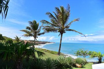 coconut trees on the beach, Sibaúma beach, Brazil,  Rio Grande do Norte, large northern river, horizon line, deserted beach, panoramic view, large northern river, Pipa beach, summer opening