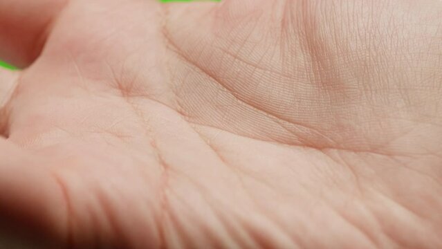 Human hand with lines, Palm reading, foretelling the future through the study of the palm, close up macro
