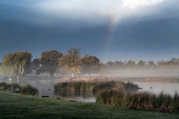 Rainbow magic in Surrey