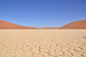 deadvlei sossusvlei Dry pan trees desert Sand dunde Namibia Africa