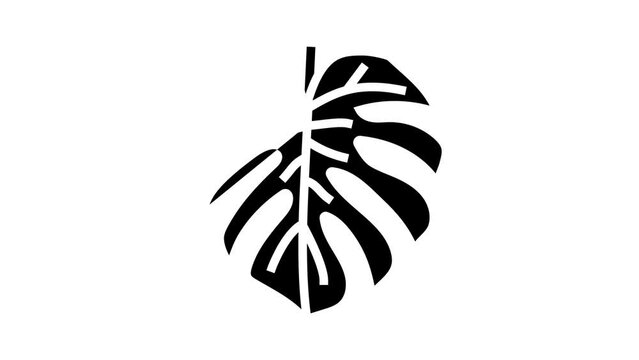 monstera plant leaf glyph icon animation