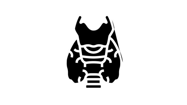 thyroid human organ line icon animation