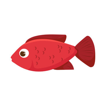 red fish icon