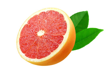 ピンクグレープフルーツ イラスト リアル