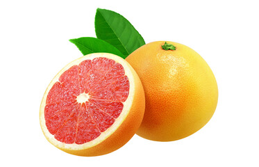 ピンクグレープフルーツのリアルなイラスト 