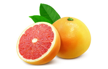 ピンクグレープフルーツ イラスト リアル
