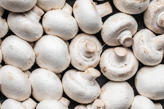 Set of raw fresh champignons