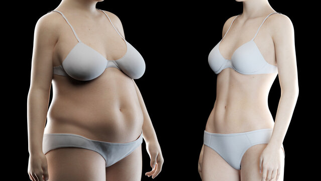 3d rendered medical illustration of an overweight woman's fitness transformation