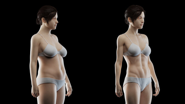 3d rendered medical illustration of an overweight woman's fitness transformation