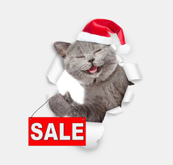 Smiling kitten wearing red santa hat looking through the hole in white paper and showing signboard with labeled "sale"