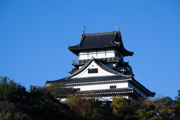 青空のグラデーションと紅葉の国宝犬山城のアップ