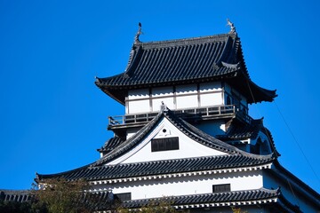 Fototapeta premium 青空のグラデーションと紅葉の国宝犬山城のアップ