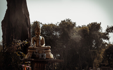 Golden Buddha statue in meditative posture under Big tree background. Space for text, Focus and blur.